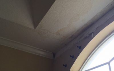 Roof Leaks