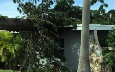 It’s Hurricane Season, Do You Know a Great Public Adjuster?  