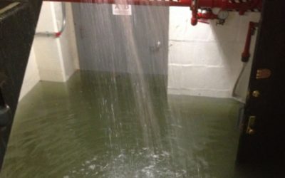 Do I need to file a Water Damage Claim in Hollywood? 