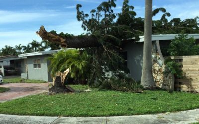 Can a Hurricane Claim Public Adjuster Help Me? 