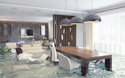 Water Damage in Hollywood, Florida