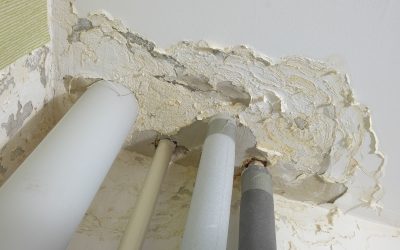 Can an Insurance Claim Public Adjuster Reopen My Denied Claim? 