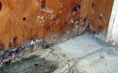 How to Avoid Water Damage in Hollywood this Hurricane Season