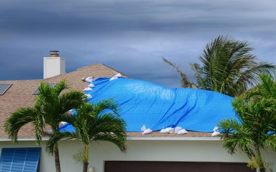 Property Damage Public Adjuster