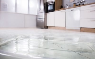 I have water damage in my home. Can a Public Adjuster in Hollywood help me? 