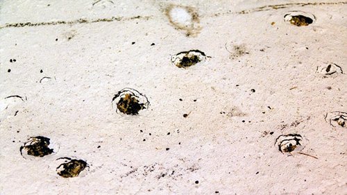 Flat Roofs